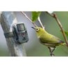 Camera Wild 1080P 12MP IP56 PIR IR 18m per Osservazione Fauna, TX-117